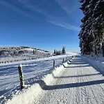 Hirschblick Willingen Brilon