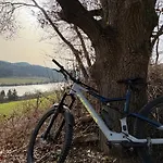Hirschblick Willingen * Brilon