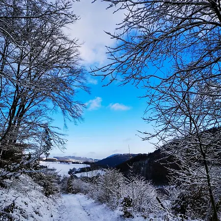 Apartment Hirschblick Bontkirchen *