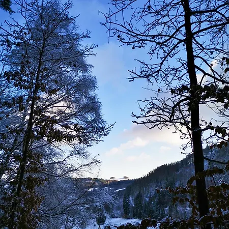 Hirschblick Bontkirchen Apartment Brilon