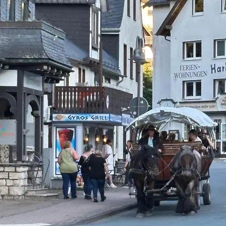아파트 Hirschblick Willingen *