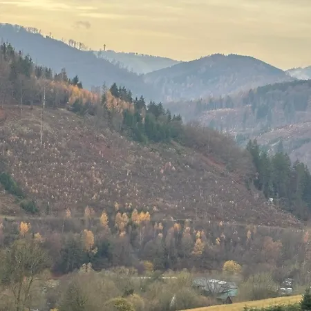 Hirschblick Bontkirchen *