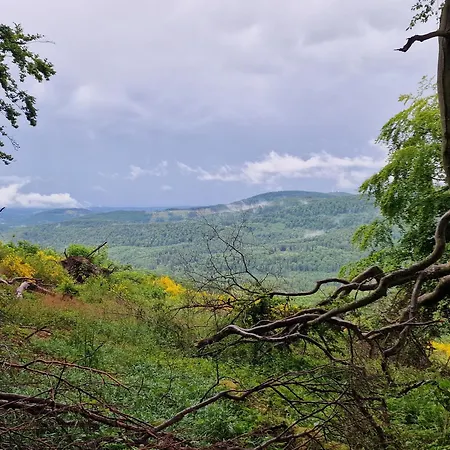 Hirschblick Bontkirchen Apartment Brilon