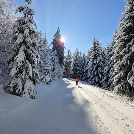 Hirschblick Willingen