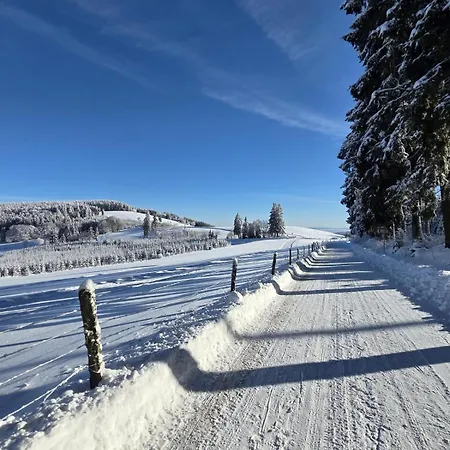 Hirschblick Willingen Brilon