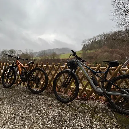 Hirschblick Willingen Brilon