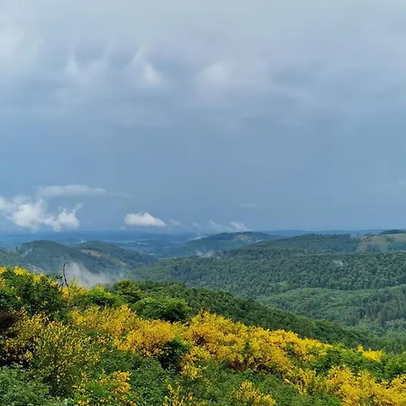 Hirschblick Bontkirchen * Brilon
