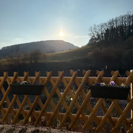 Hirschblick Willingen