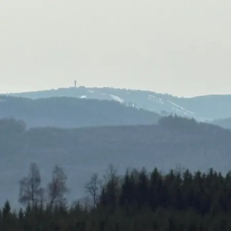 Hirschblick Willingen
