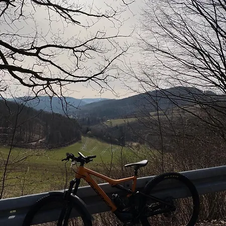 Hirschblick Willingen * 브릴온