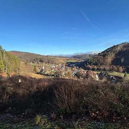 아파트 Hirschblick Willingen