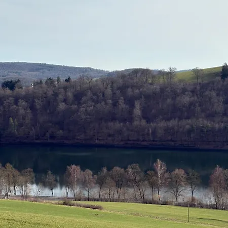 Hirschblick Willingen * Brilon