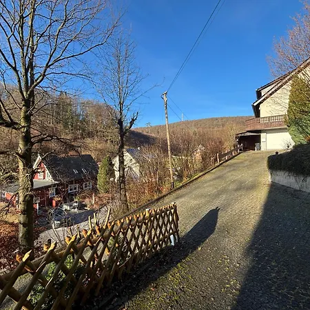 Hirschblick Apartments Willingen * ברילון