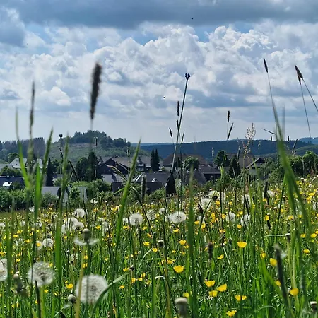 아파트 Hirschblick Willingen *