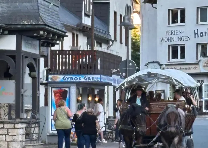 דירה Hirschblick Apartments Willingen *