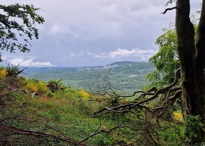 Hirschblick Willingen Lejlighed Brilon