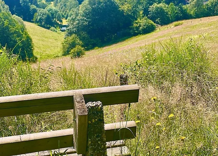 Hirschblick Bontkirchen Lejlighed Brilon