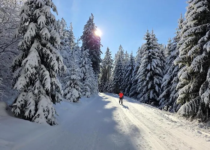 Hirschblick Willingen