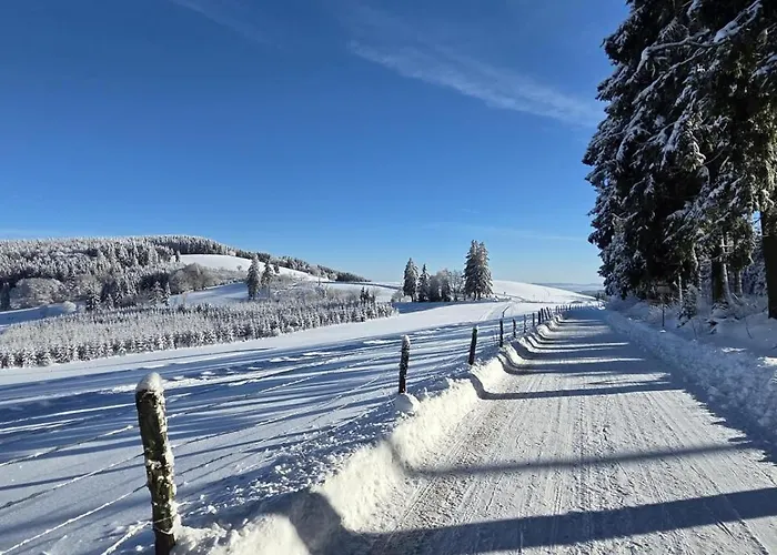 Hirschblick Willingen Brilon