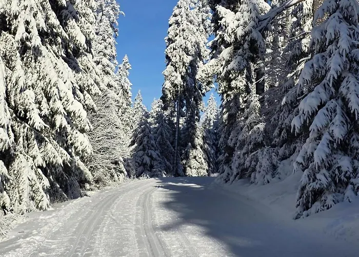 Hirschblick Bontkirchen *