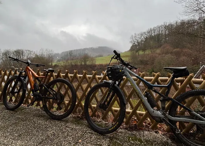 Hirschblick Bontkirchen Brilon