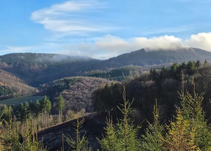 Hirschblick Bontkirchen Lejlighed Brilon