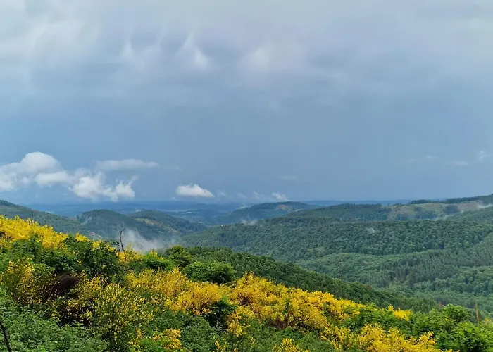 Hirschblick Willingen * Brilon
