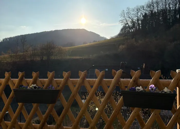 Hirschblick Willingen