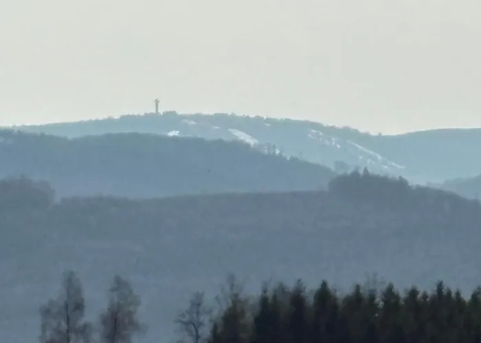 Hirschblick Willingen