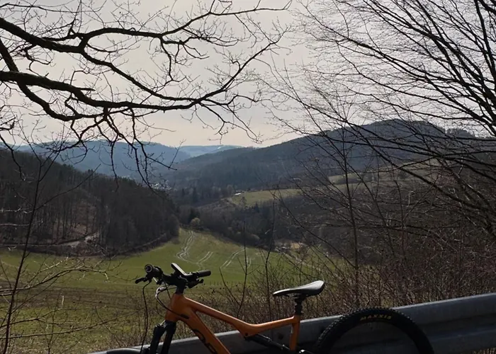 Hirschblick Willingen * Brilon