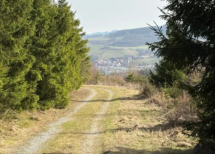 Hirschblick Willingen Brilon