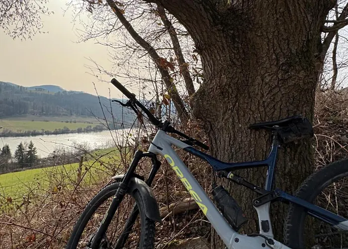 Hirschblick Willingen * Brilon