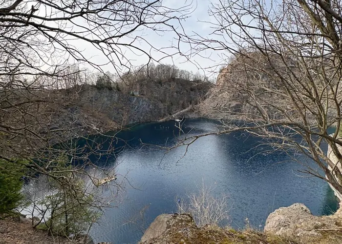 Hirschblick Willingen Brilon