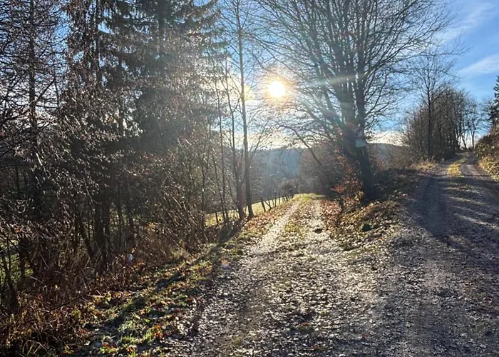 דירה Hirschblick Apartments Willingen *