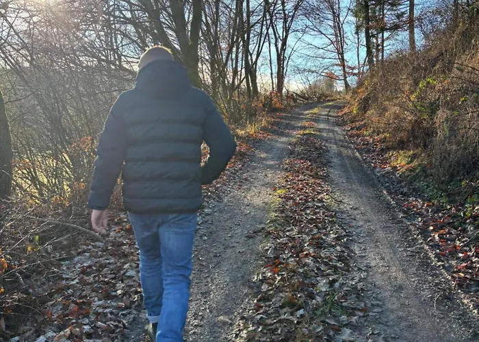 Lejlighed Hirschblick Willingen Brilon