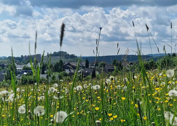 Lejlighed Hirschblick Willingen *